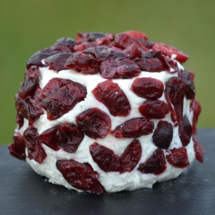 Chevre Frais Enrobé Cranberry - 10 x 80g