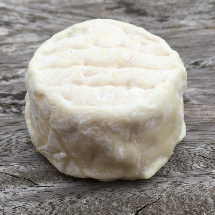 French Goat Pasteurised Crottin-Style - 12x 60g