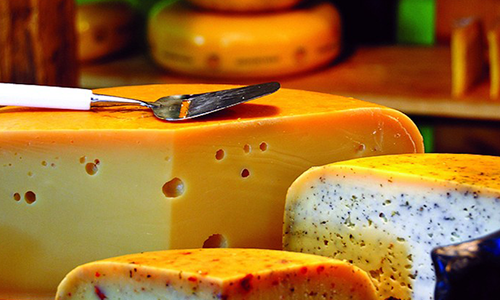 Dutch Cheese